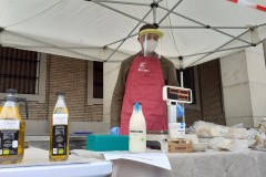 Mercado Agroecológico Zaragoza