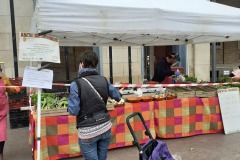 Mercado Agroecológico Zaragoza