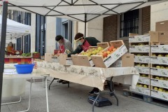 Mercado Agroecológico Zaragoza
