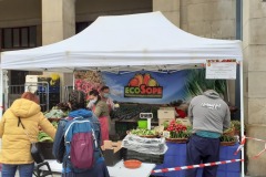 Mercado Agroecológico Zaragoza