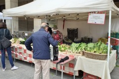 Mercado Agroecológico Zaragoza