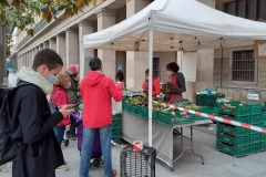 Mercado Agroecológico Zaragoza