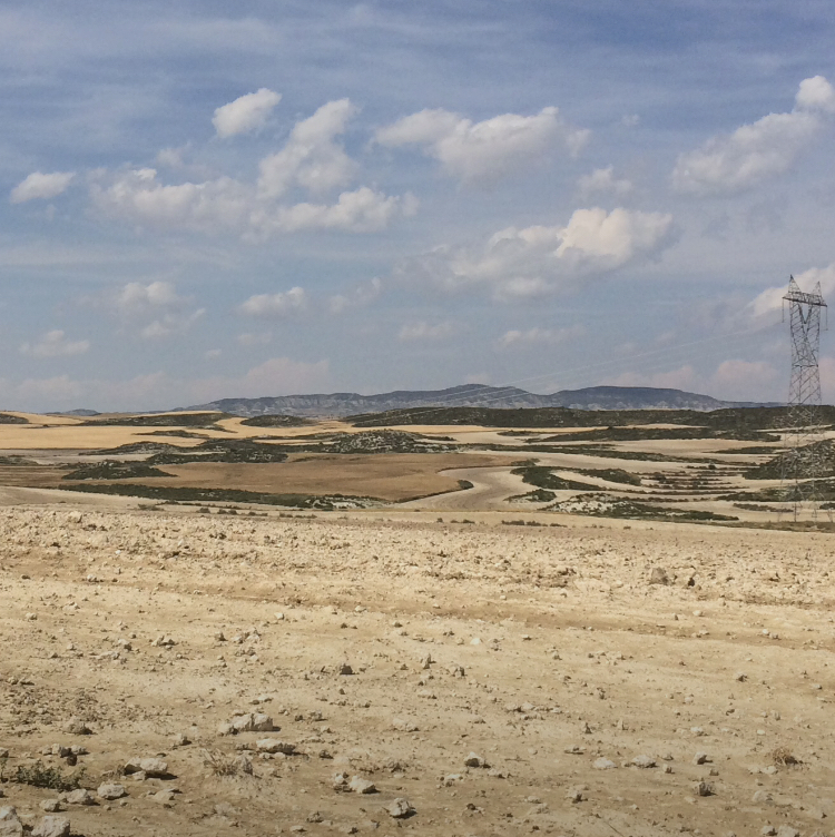Campo labrado Monegros secos
