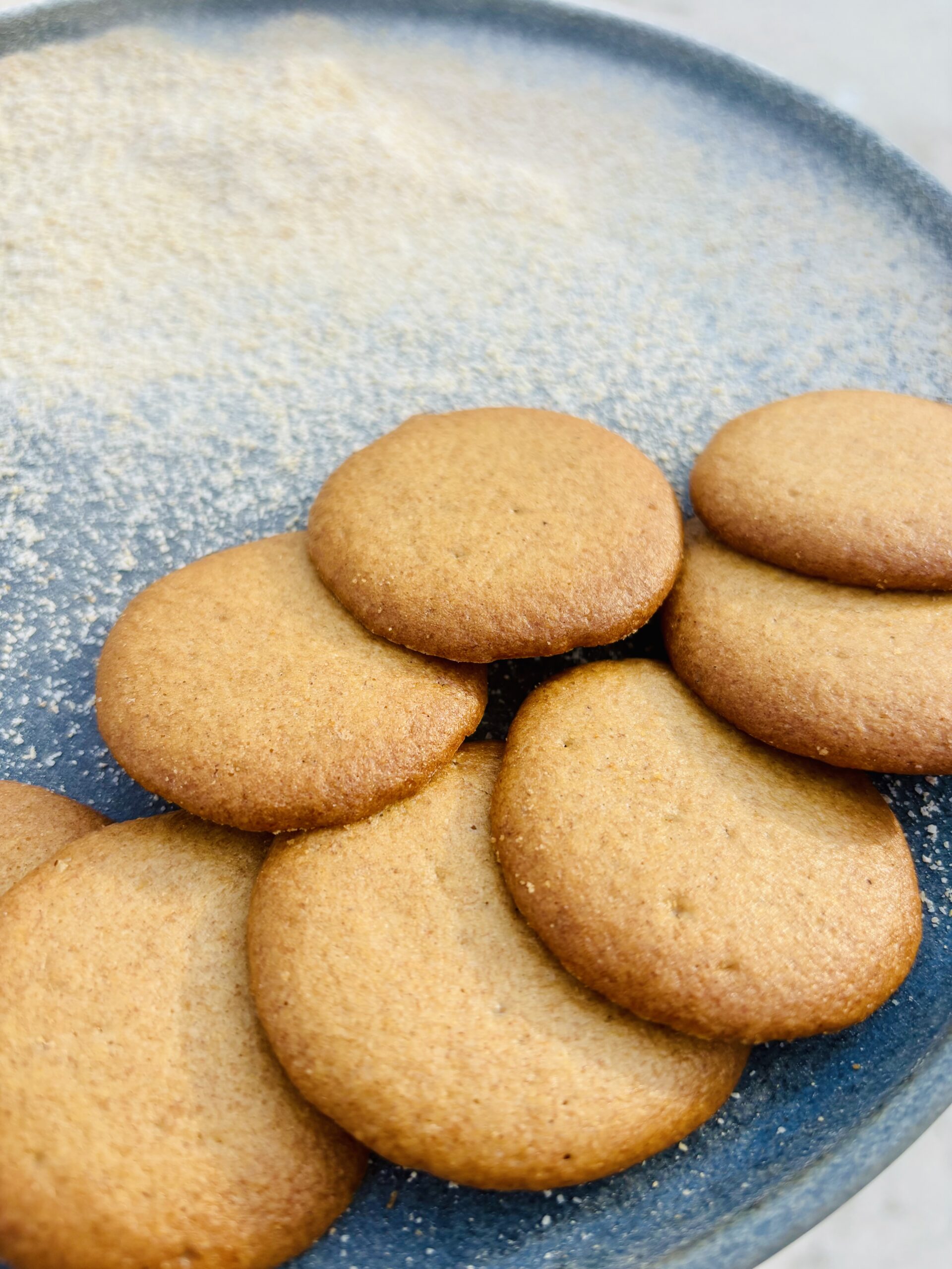 galleta espelta foto