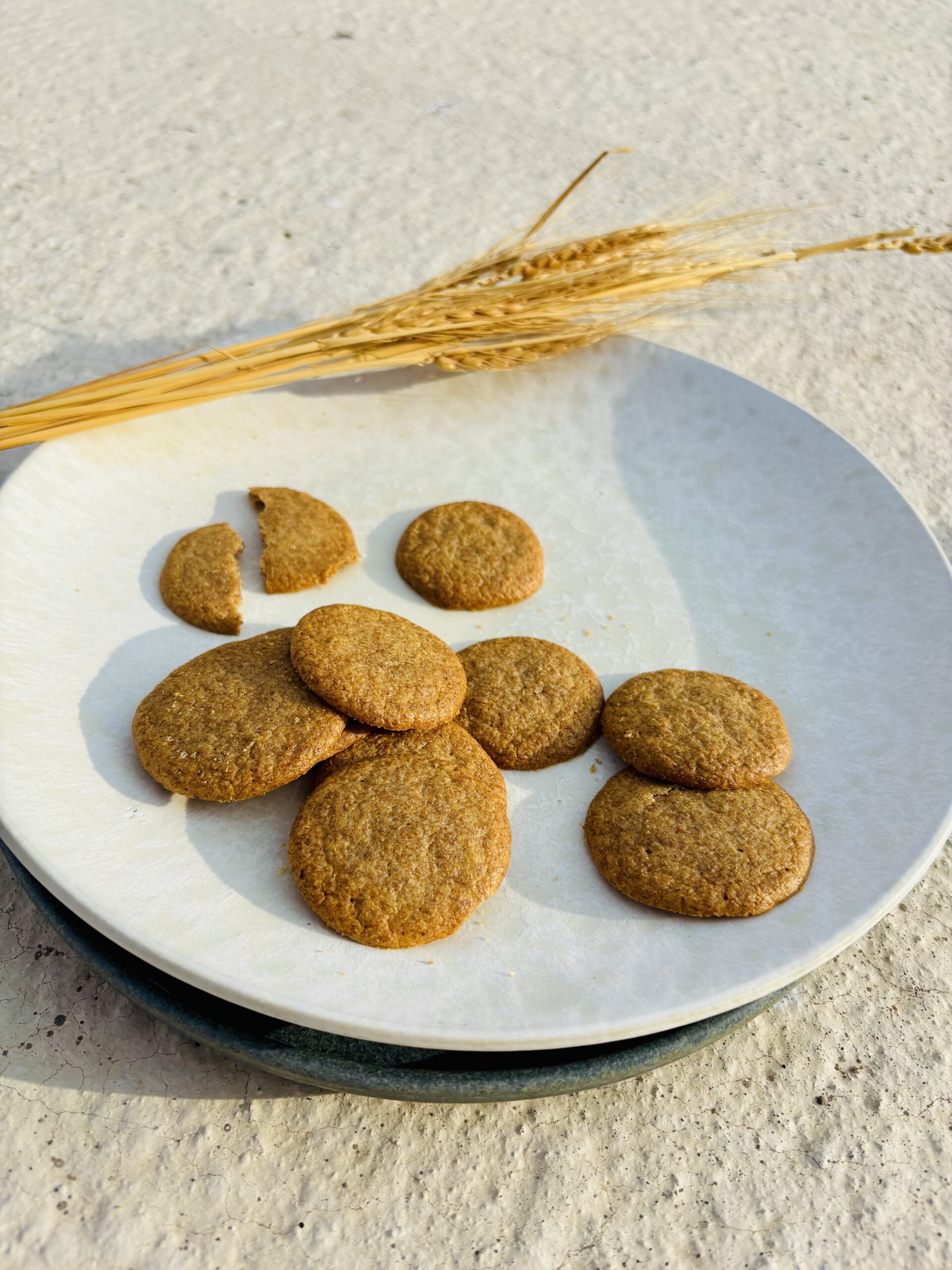galletas saladas foto